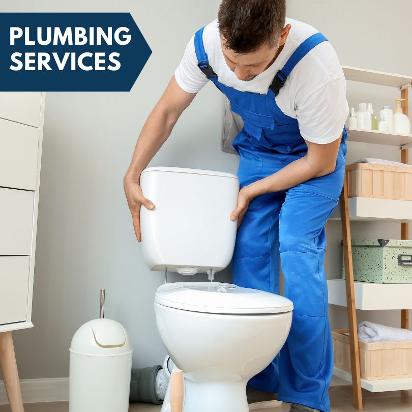 Plumbing Company in Carp Lake, MI